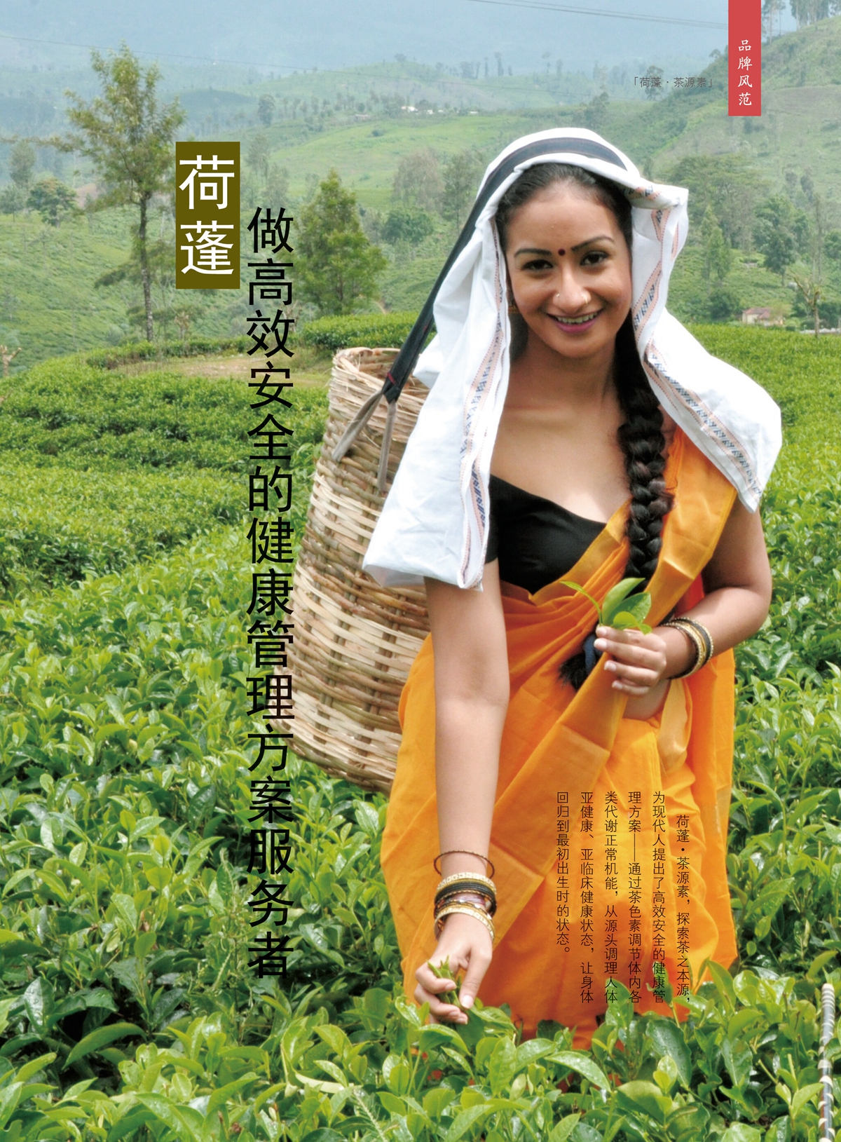 62期茶业用品稿件55_副本.jpg